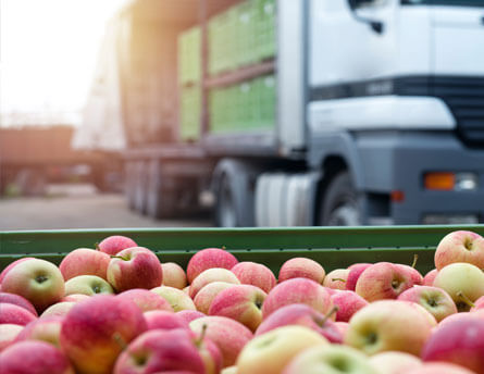 fruit and vegetable delivery